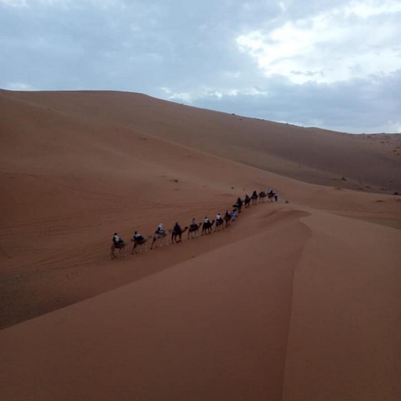 Sahara Desert